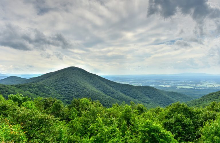 Official Announcement (05.08.2025)